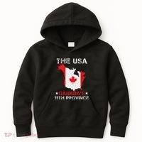 The Usa Canada’S 11th Province Funny Kids Hoodie thumb 0