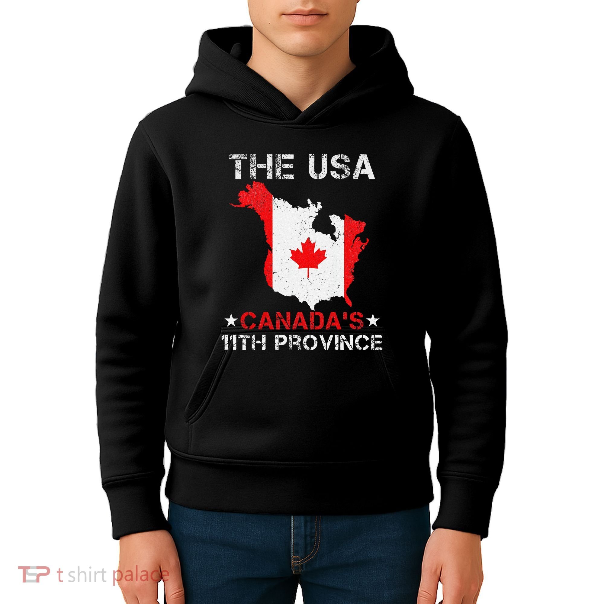 The Usa Canada’S 11th Province Funny Kids Hoodie