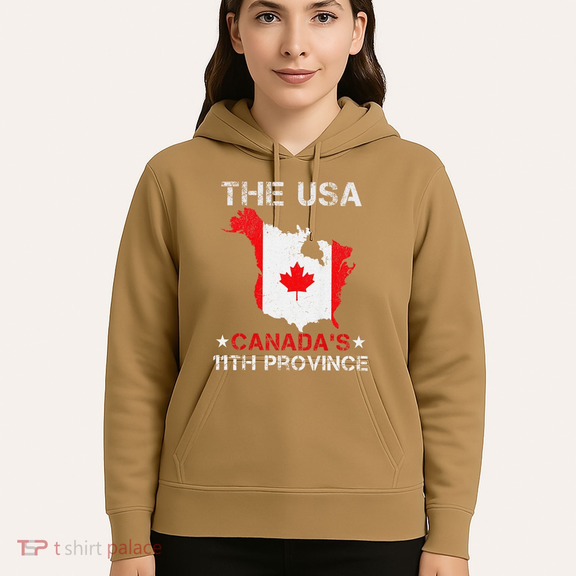 The Usa Canada’S 11th Province Funny Hoodie