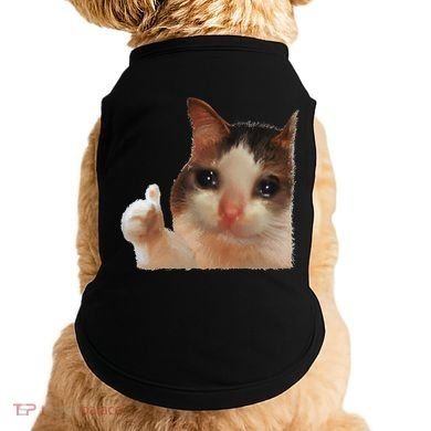 Thumbs Up Crying Cat Meme Cat Crying Thumps Up Memes Sad Cat Doggie Tank