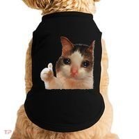 Thumbs Up Crying Cat Meme Cat Crying Thumps Up Memes Sad Cat Doggie Tank thumb 0