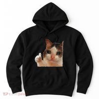 Thumbs Up Crying Cat Meme Cat Crying Thumps Up Memes Sad Cat Hoodie thumb 0