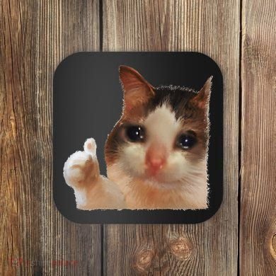 Thumbs Up Crying Cat Meme Cat Crying Thumps Up Memes Sad Cat Coaster
