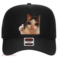 Thumbs Up Crying Cat Meme Cat Crying Thumps Up Memes Sad Cat Hat thumb 0