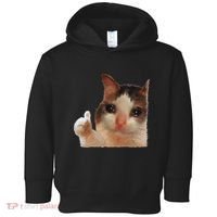 Thumbs Up Crying Cat Meme Cat Crying Thumps Up Memes Sad Cat Toddler Hoodie thumb 0