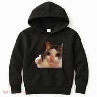 Thumbs Up Crying Cat Meme Cat Crying Thumps Up Memes Sad Cat Kids Hoodie thumb 0
