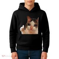 Thumbs Up Crying Cat Meme Cat Crying Thumps Up Memes Sad Cat Kids Hoodie thumb 4