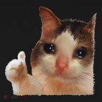 Thumbs Up Crying Cat Meme Cat Crying Thumps Up Memes Sad Cat Kids T-Shirt thumb 4