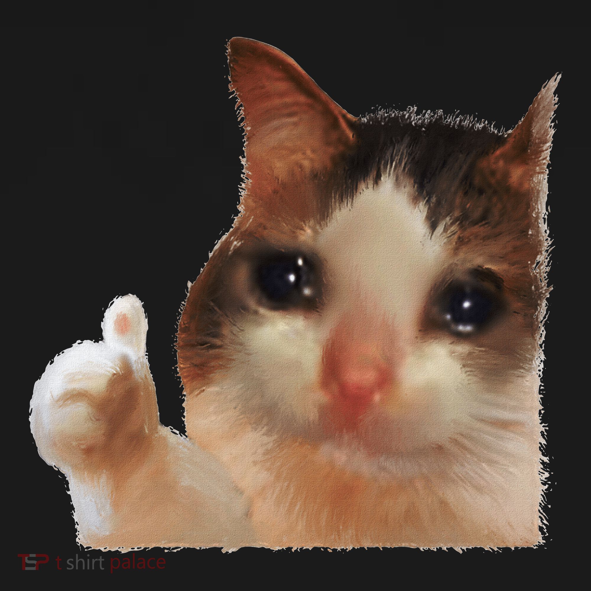 Thumbs Up Crying Cat Meme Cat Crying Thumps Up Memes Sad Cat Kids T-Shirt