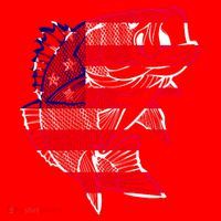 Transparent USA Fish Flag Santa Hat thumb 1
