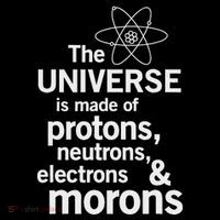 The Universe Is Made Of Protons Neutrons Electrons Moron Ornament thumb 1