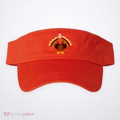 Visor
