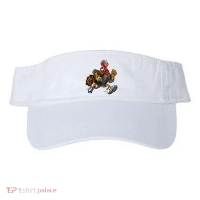 Visor