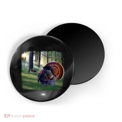 Magnet
