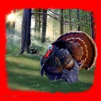 Turkey Time Santa Hat thumb 1