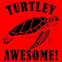 Turtley Awesome Santa Hat thumb 1