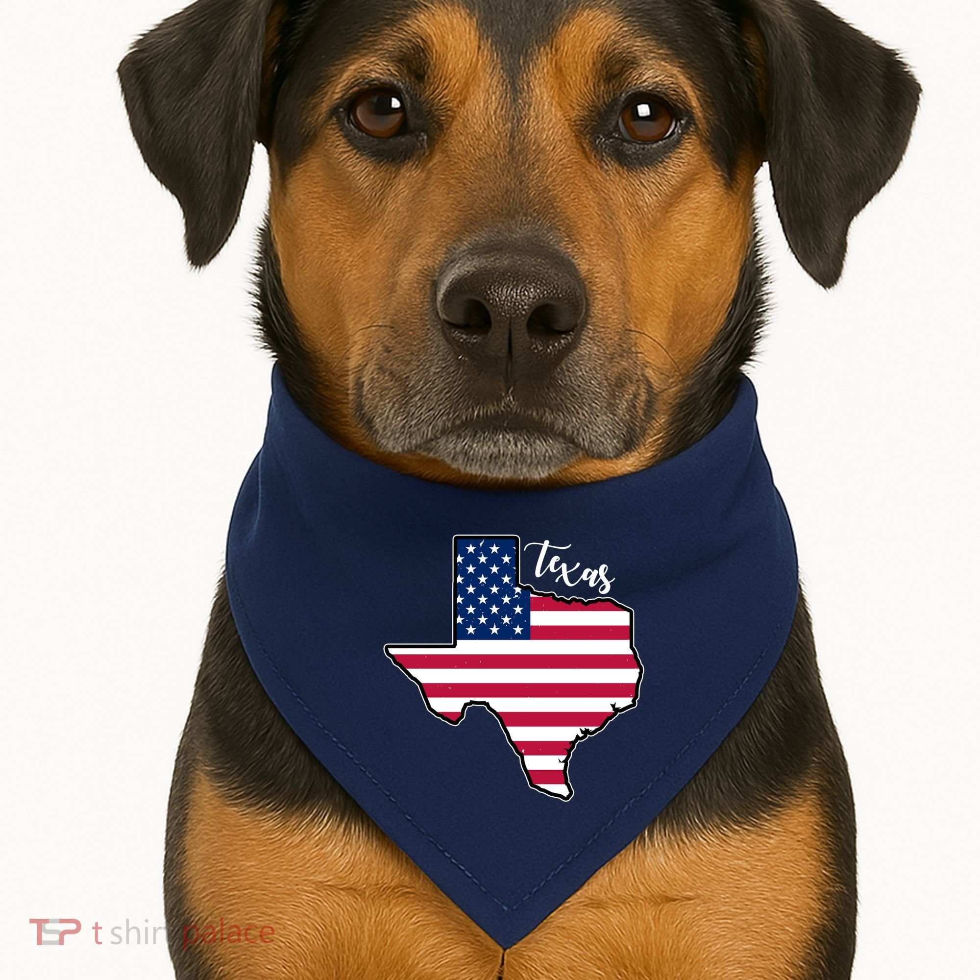 Texas United States Map USA-Made Doggie Bandana