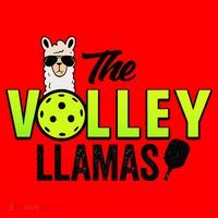 The Volley LLamas comic style llama pickle ball Santa Hat thumb 1
