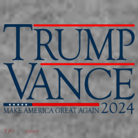 Trump Vance Make America Great Again 2024 Election Toddler Hoodie thumb 2