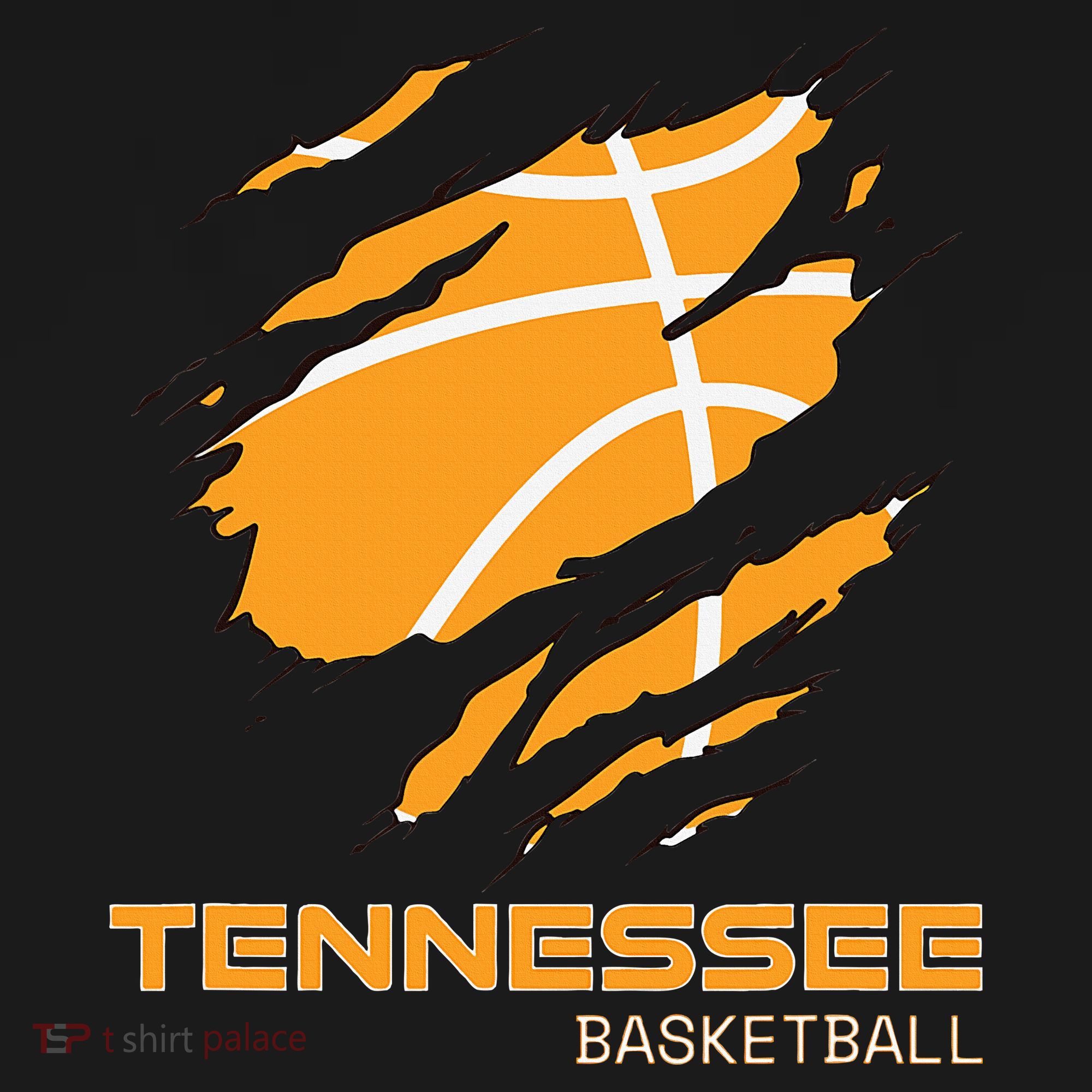 The Volunteer State Fan Tennesseean Tennessee Basketball T-Shirt