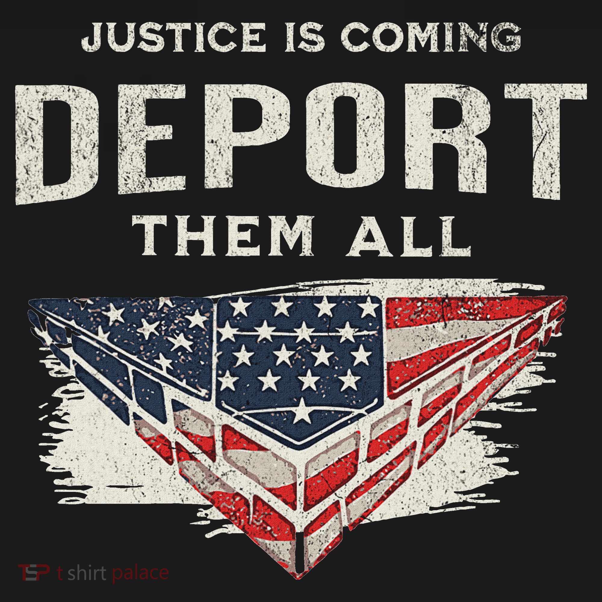 Trump Won 2024 Justice Is Coming Deport Them All Wall Women's Hoodie