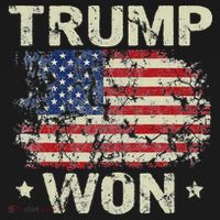 Trump Won 4th of July American Flag Sweatshirt thumb 3