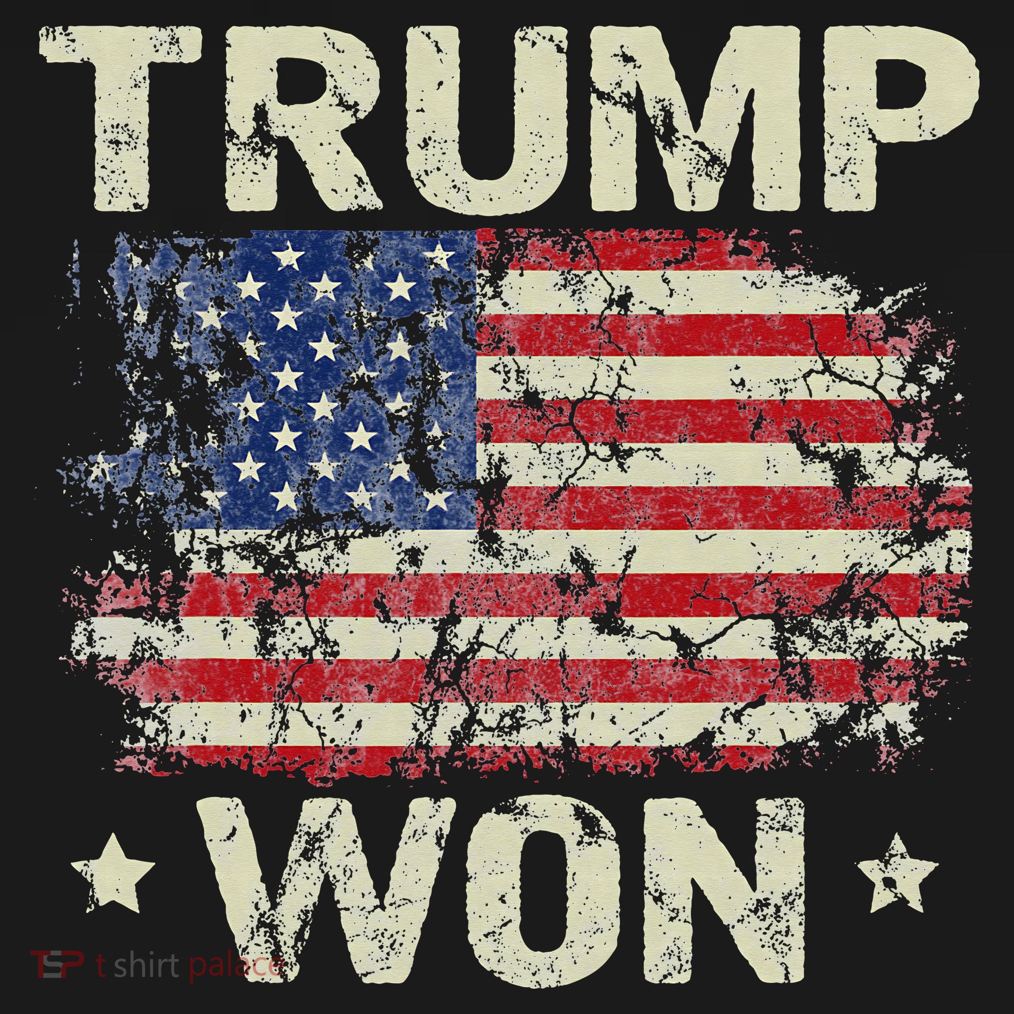 Trump Won 4th of July American Flag Bucket Hat