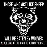 Those Who Act Like Sheep Eaten By Wolves Ornament thumb 1