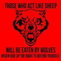 Those Who Act Like Sheep Eaten By Wolves Santa Hat thumb 1