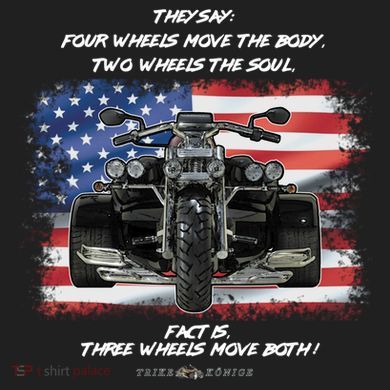 Three Wheels Do Both! USA Flags Trike Gift Crop Fleece Hoodie