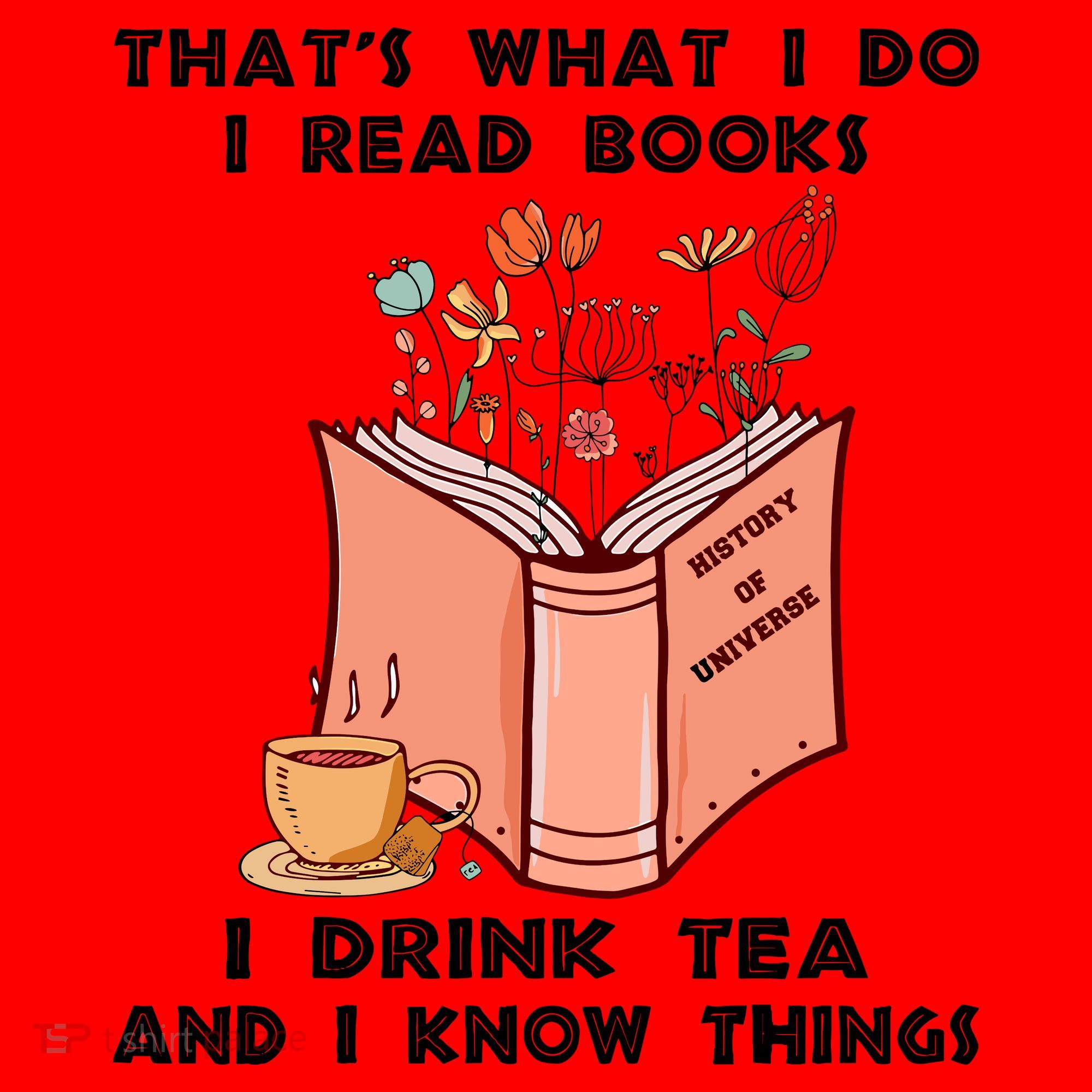 ThatS What I Do I Read Books I Drink Tea And I Know Things Santa Hat