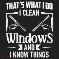 ThatS What I Do I Clean Windows Funny Cleaning Crew Washer Gift Beanie thumb 2