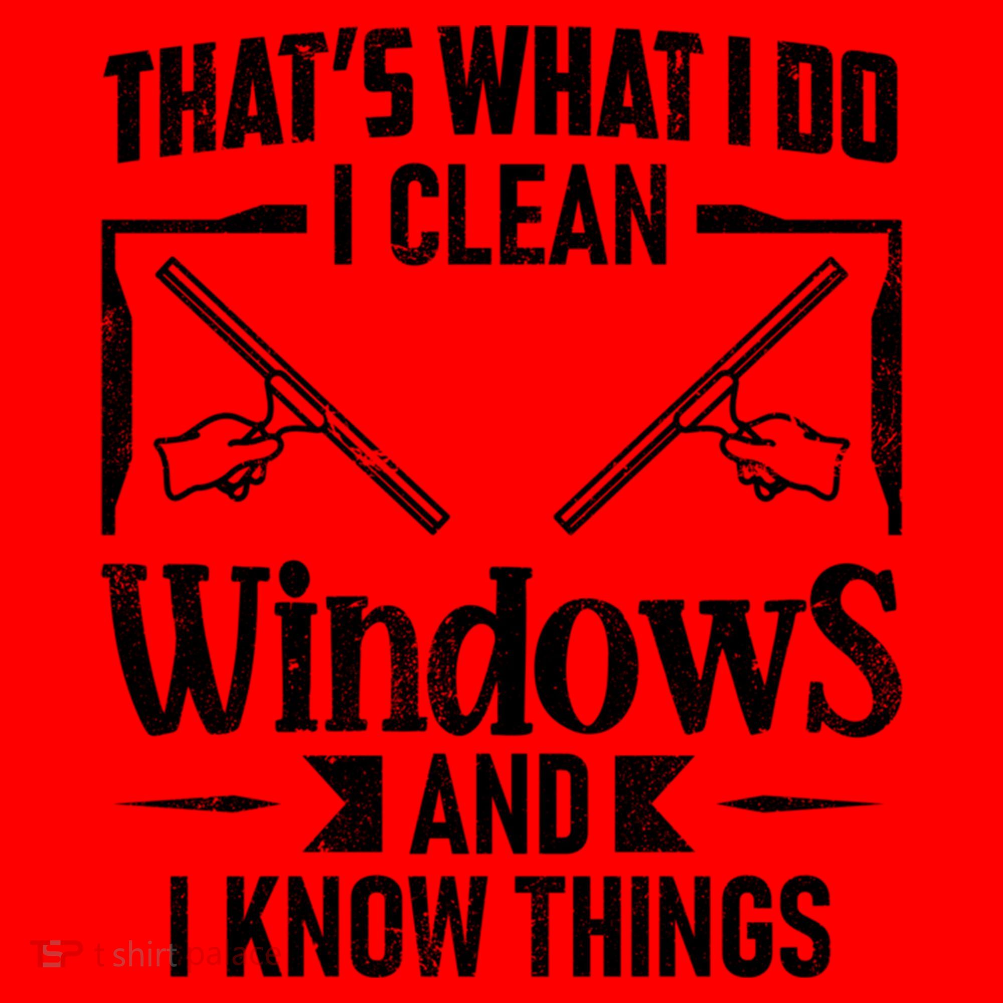 ThatS What I Do I Clean Windows Funny Cleaning Crew Washer Gift Santa Hat