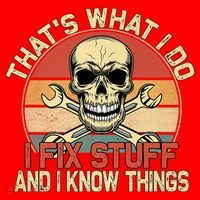 That's What I Do I Fix Stuff And I Know Things Gift Skull Head Meaningful Gift Santa Hat thumb 1
