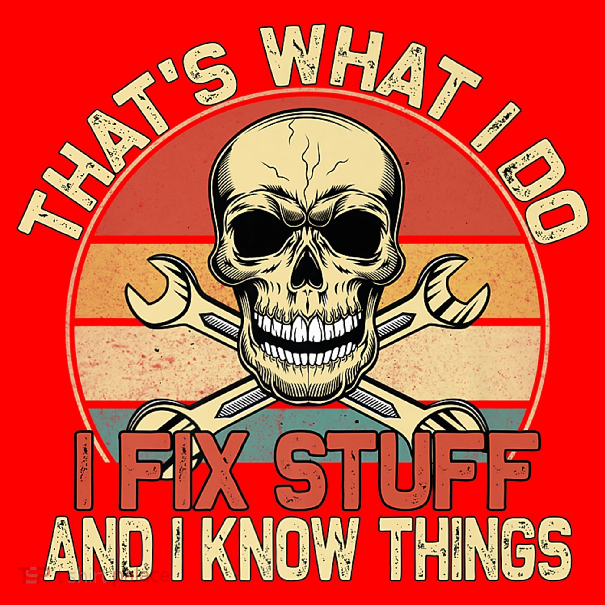 That's What I Do I Fix Stuff And I Know Things Gift Skull Head Meaningful Gift Santa Hat