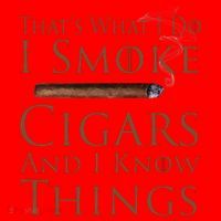 Thats What I Do I Smoke Cigars And I Know Things Santa Hat thumb 1