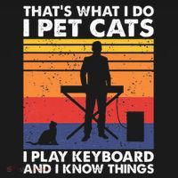 ThatS What I Do I Pet Cats I Play Keyboard & I Know Things Women's Hoodie thumb 2