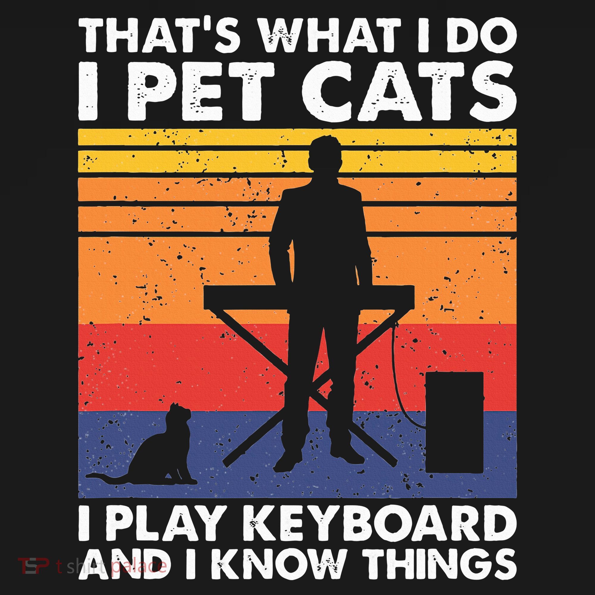 ThatS What I Do I Pet Cats I Play Keyboard & I Know Things Women's Hoodie
