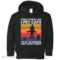 ThatS What I Do I Pet Cats I Play Keyboard & I Know Things Toddler Hoodie thumb 0
