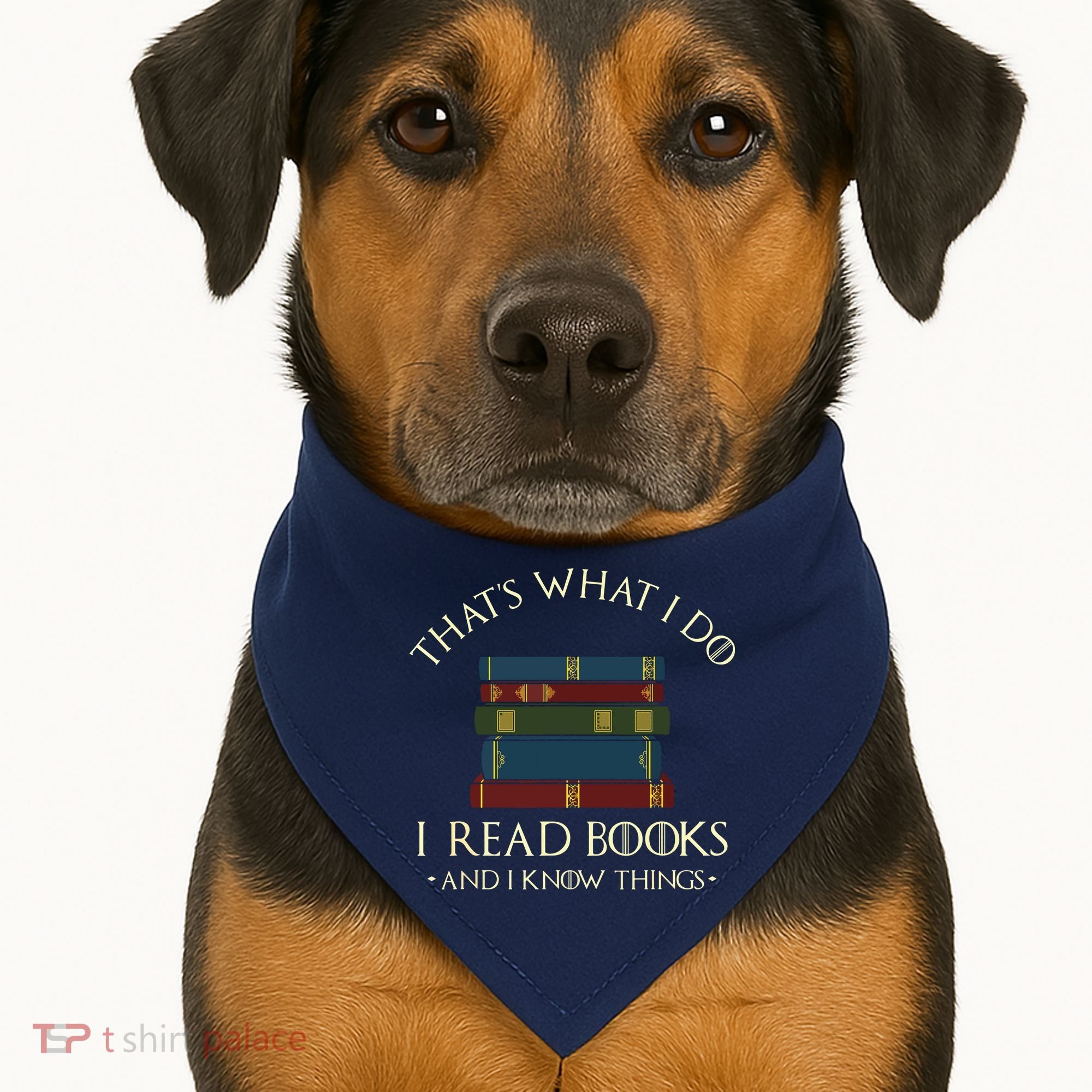 That's What I Do I Read Books And I Know Things Reading USA-Made Doggie Bandana