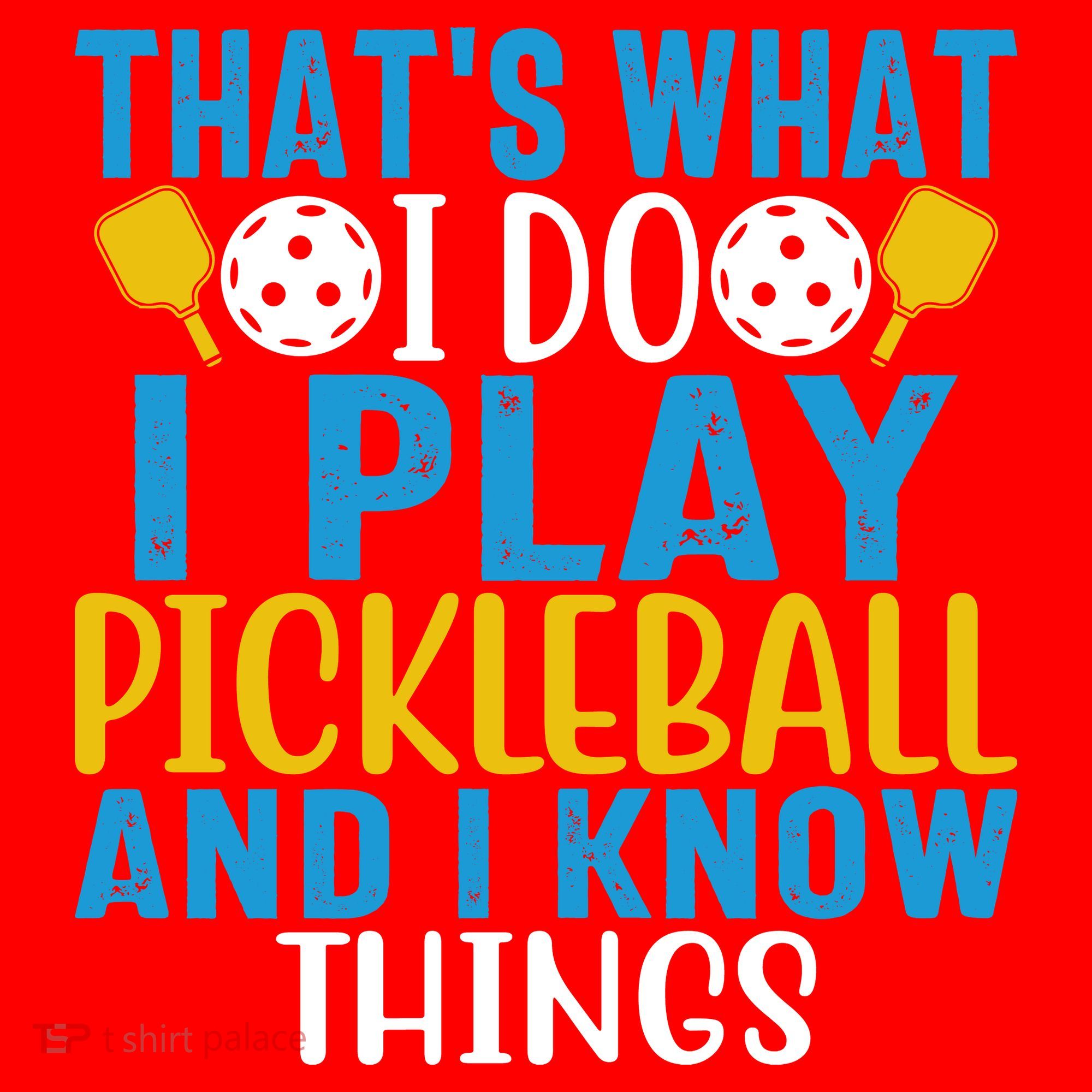That's What I Do I Play Pickleball & Know Things, Funny Gift Santa Hat