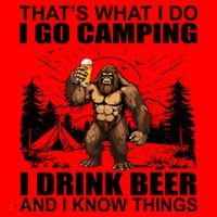 Thats What I Do I Go Camping I Drink Beer And I Know Things Santa Hat thumb 1