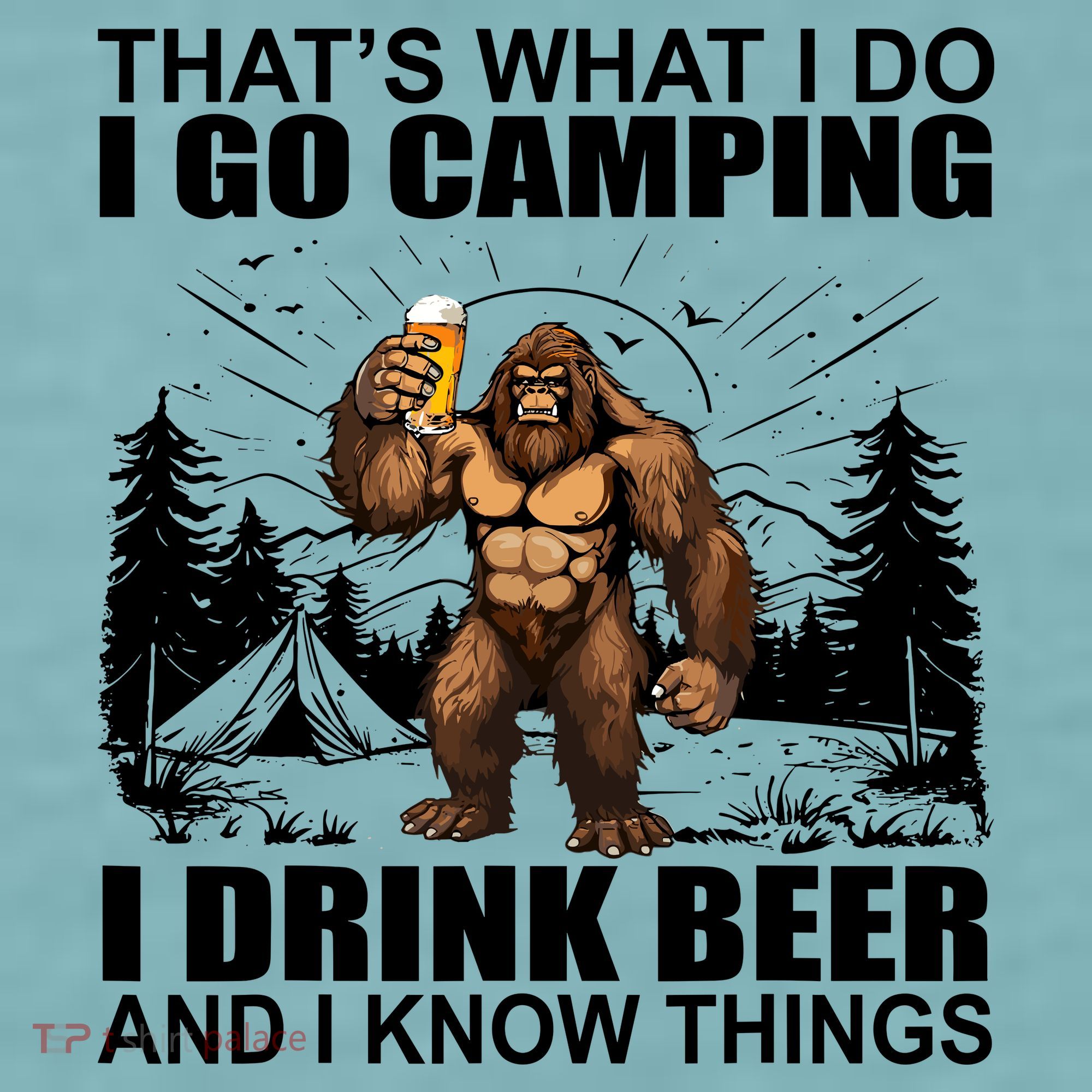 Thats What I Do I Go Camping I Drink Beer And I Know Things Sueded Cloud Jersey T-Shirt