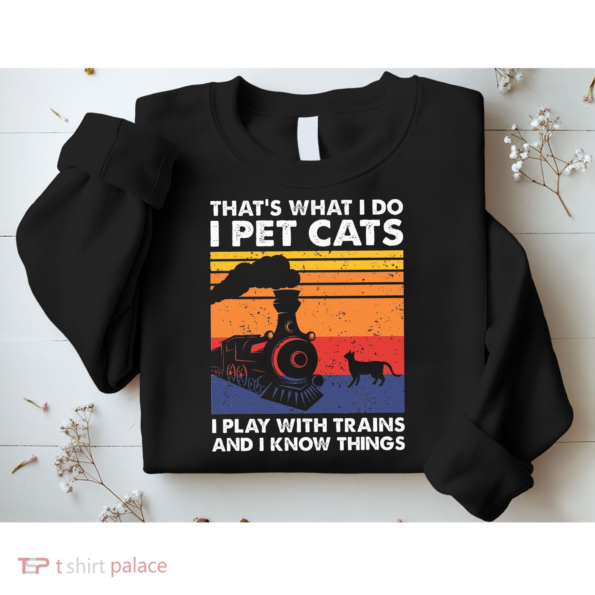 ThatS What I Do I Pet Cats I Play With Trains Model Train Sweatshirt
