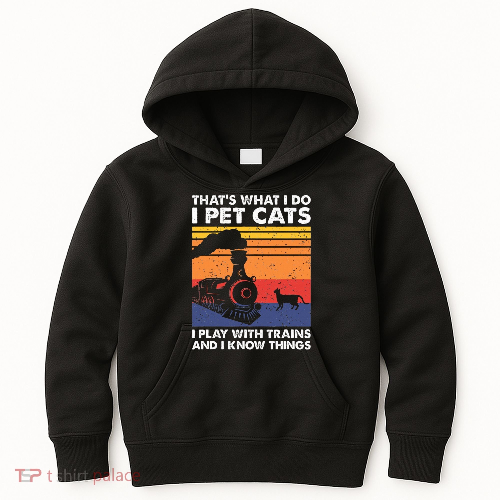 ThatS What I Do I Pet Cats I Play With Trains Model Train Kids Hoodie