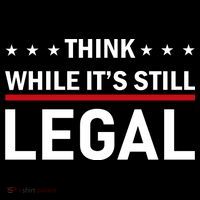 Think While It's Still Legal Toddler Hoodie thumb 2