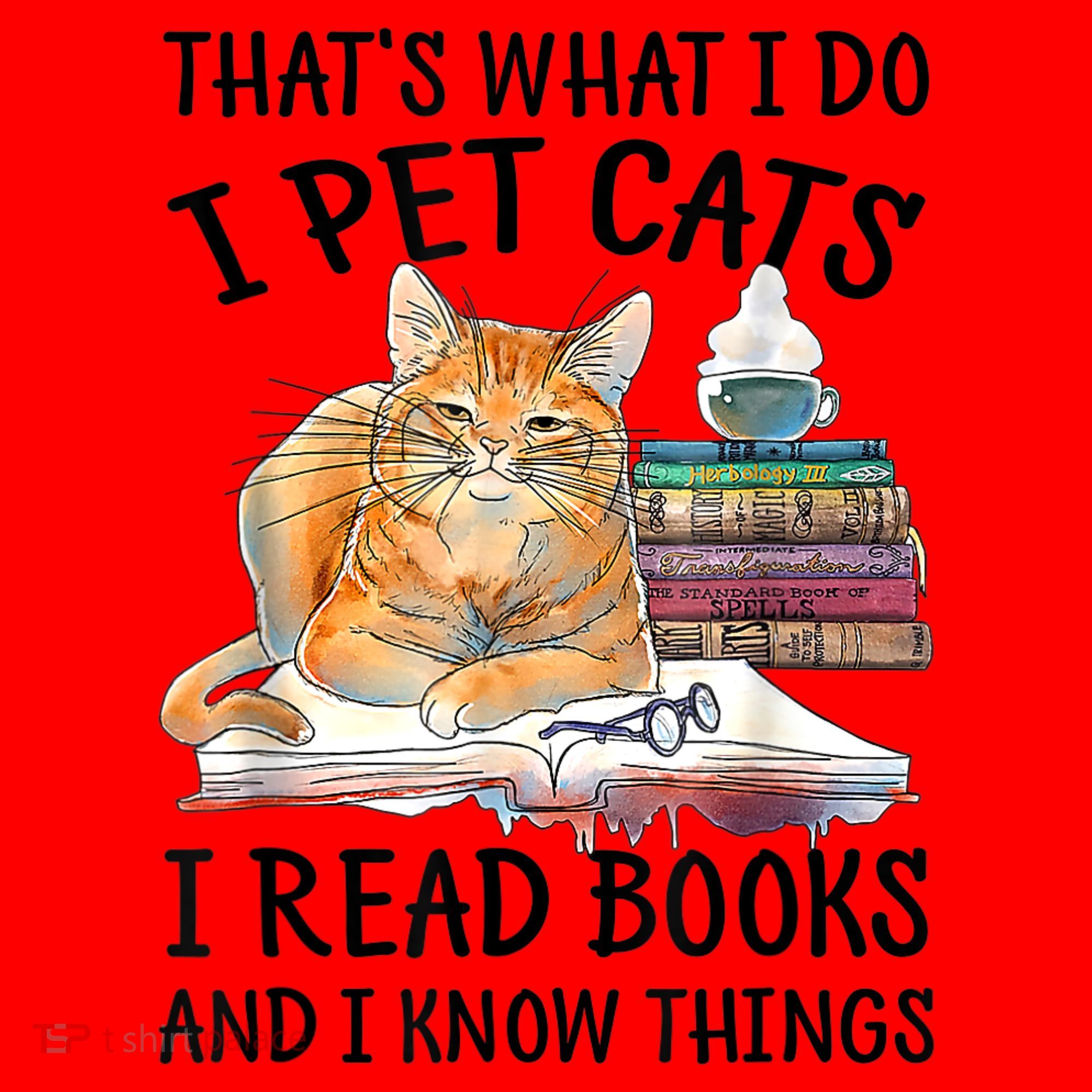 That's What I Do I Pet Cats I Read Books And I Know Things Santa Hat