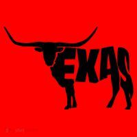 Texas Word Mashup Longhorn Santa Hat thumb 1