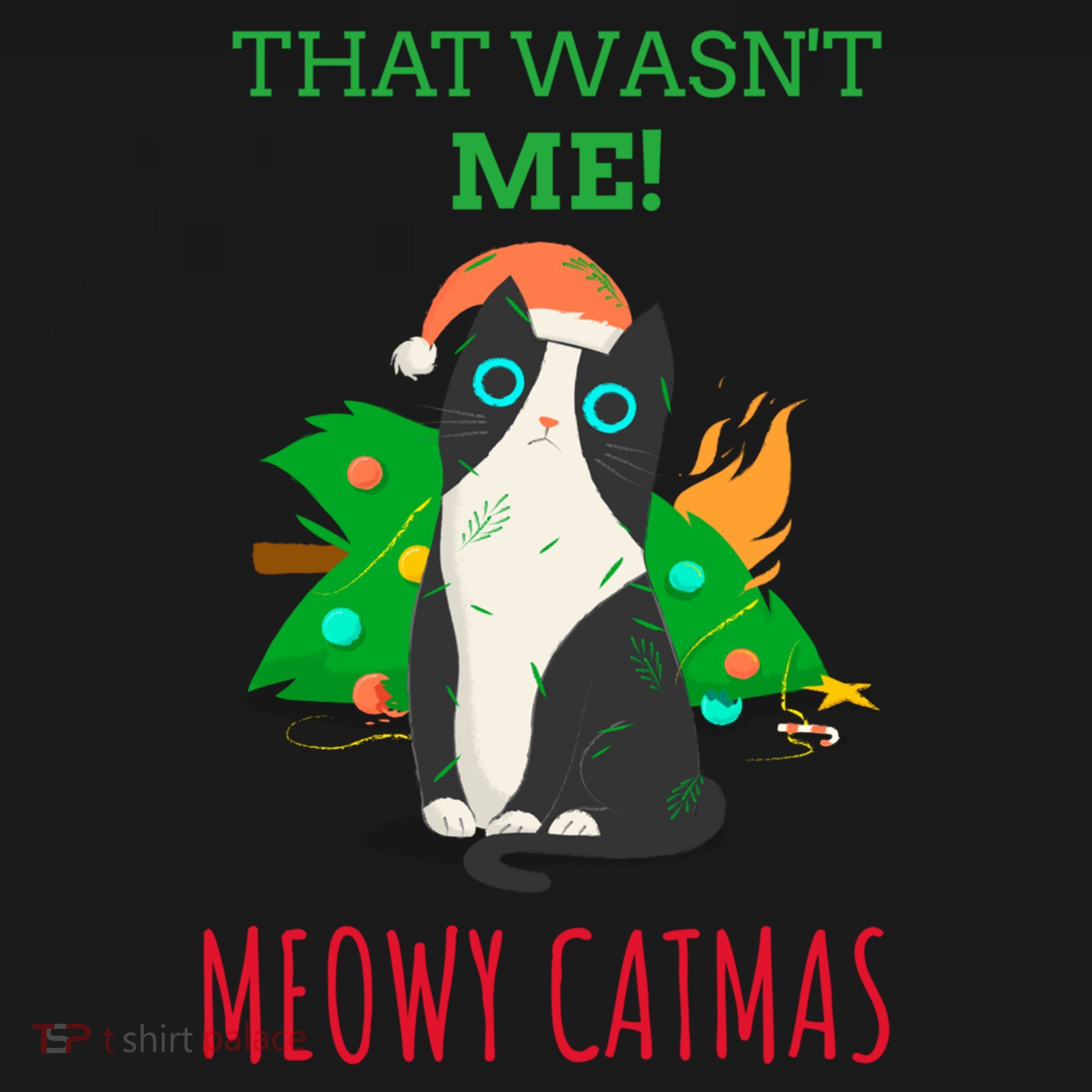 That Wasn't Me Meowy Catmas Funny Cat Cute Christmas Gift Women's Hoodie