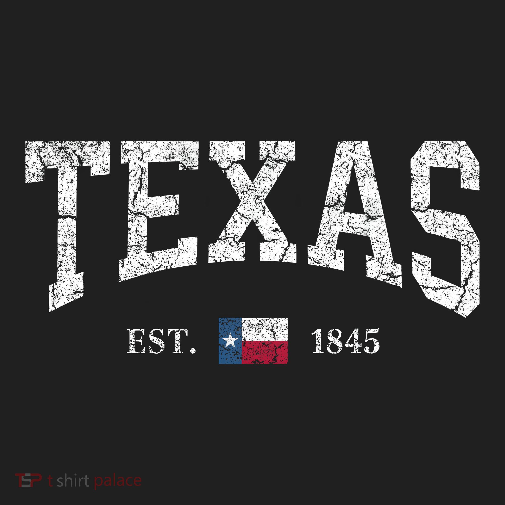 Texas Women Men Kids Texas State Map Flag Distressed Beanie